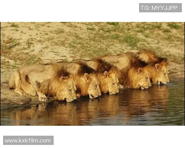 足球场上的坏男孩：从流氓球星到传奇人物的转变与挑战